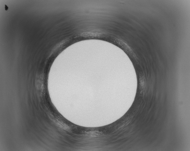 X0000082140396200702162148