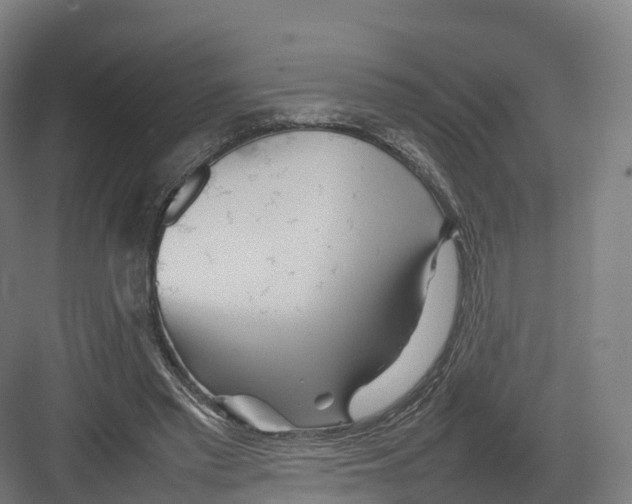 X0000082140397200702162148