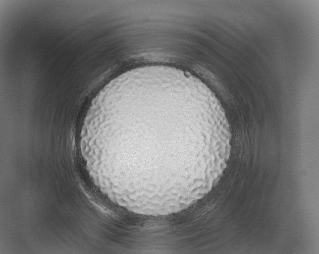 X0000082140398200702162148