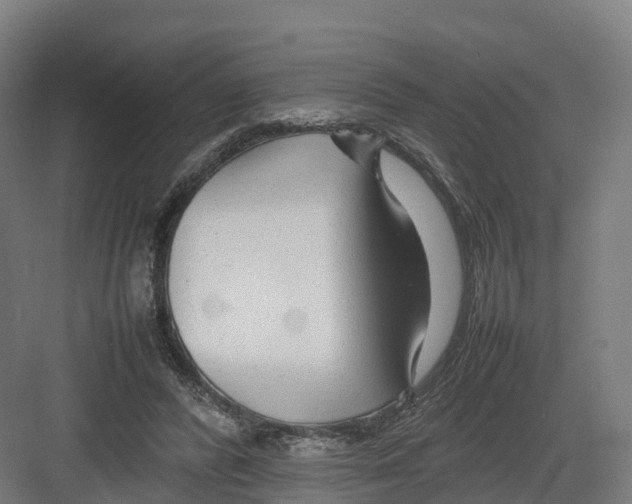 X0000082140400200702162148