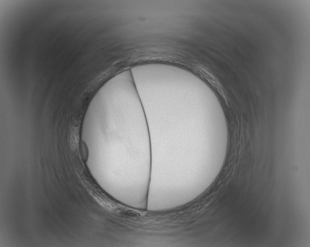 X0000082140401200702162148