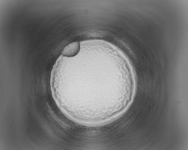 X0000082140402200702162148