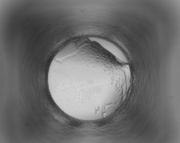 X0000082140403200702162148