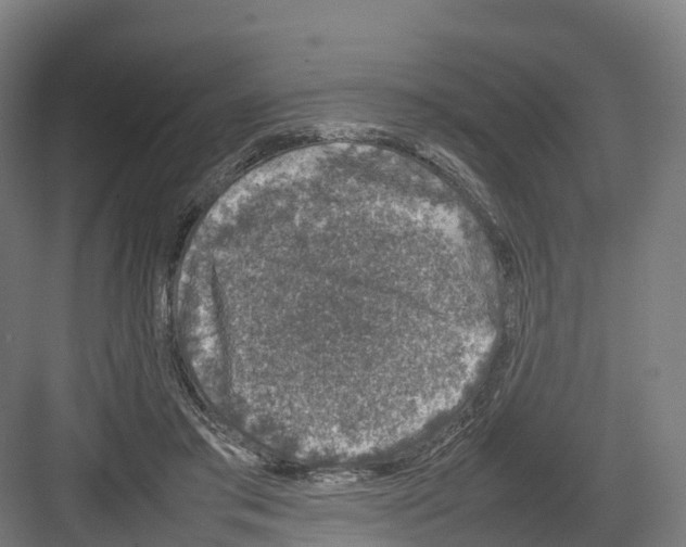 X0000082140405200702162148