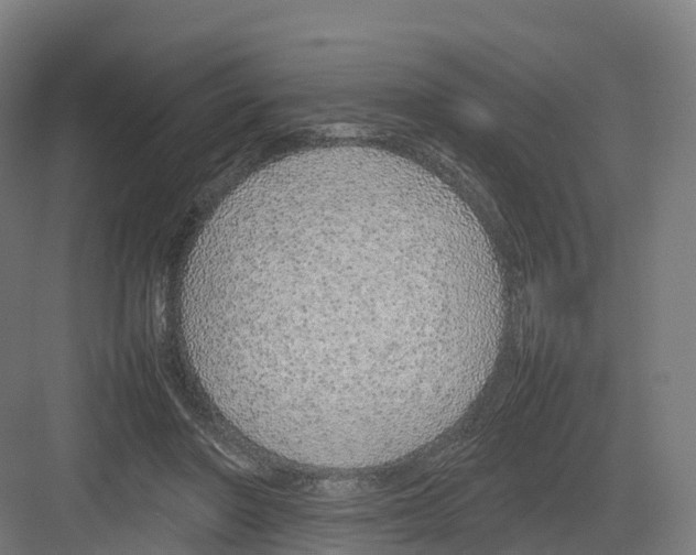 X0000082140406200702162148