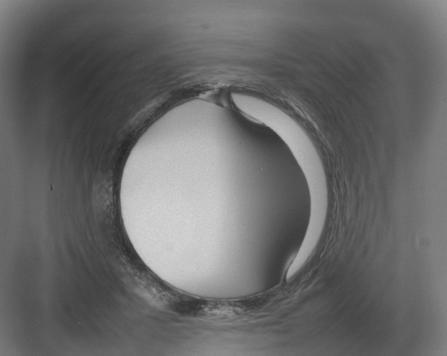 X0000082140407200702162148