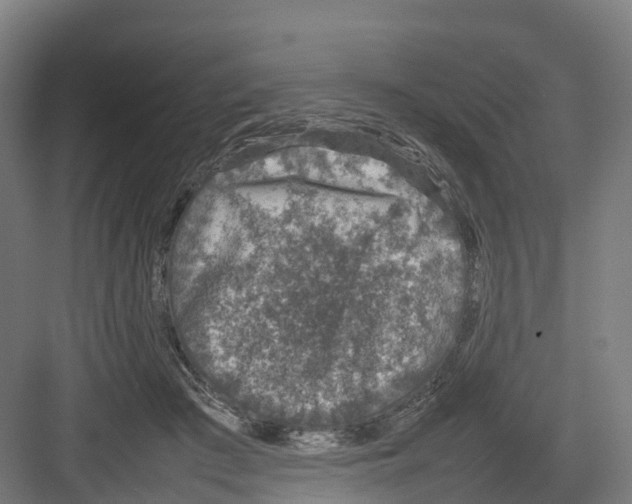 X0000082140409200702162148