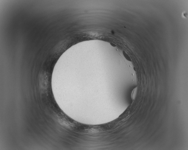 X0000082140412200702162148