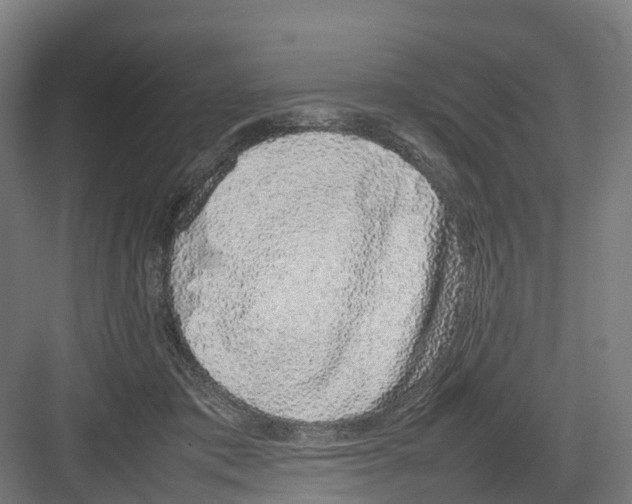 X0000082140413200702162148