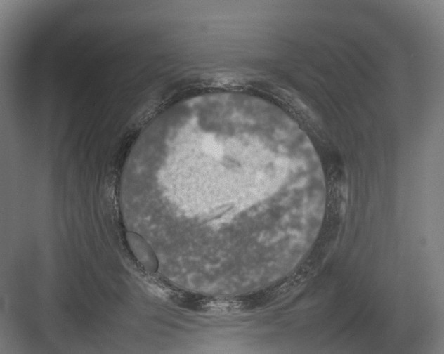 X0000082140415200702162148