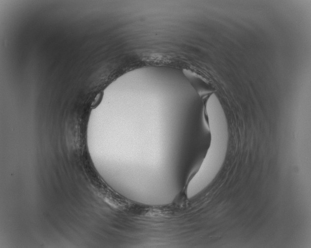 X0000082140416200702162148