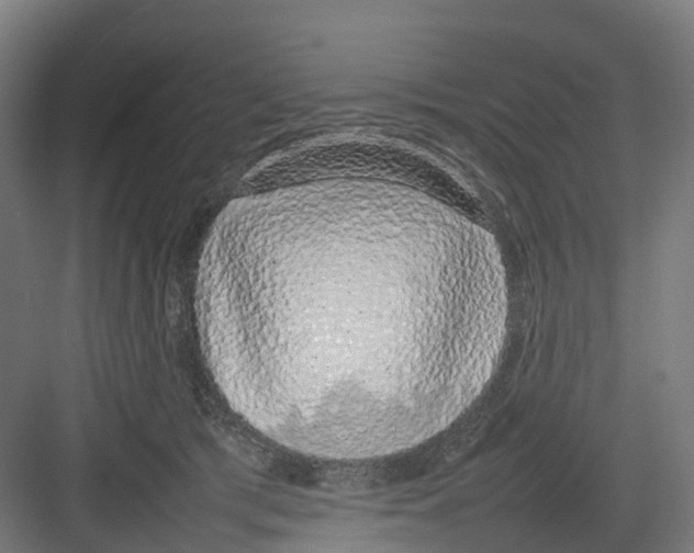 X0000082140417200702162148