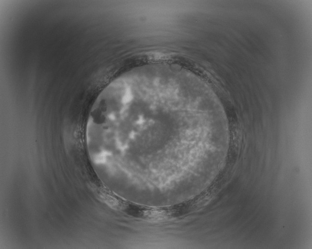 X0000082140419200702162148