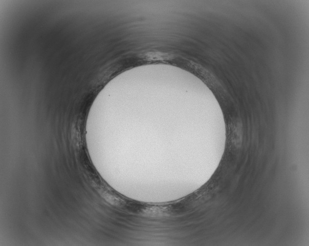 X0000082140422200702162147