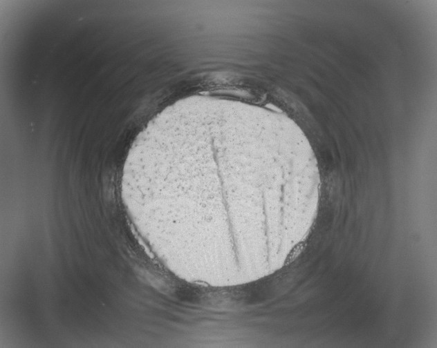 X0000082140423200702162147