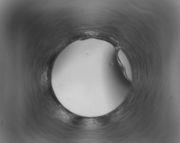 X0000082140424200702162147