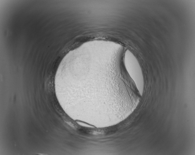 X0000082140425200702162147