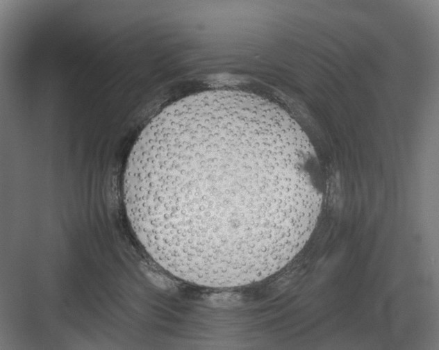 X0000082140426200702162147