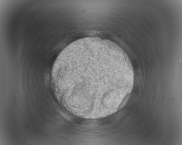 X0000082140427200702162147