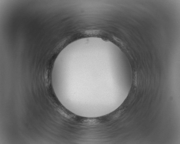 X0000082140428200702162147