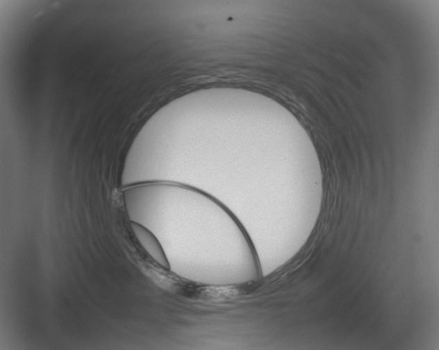 X0000082140429200702162147