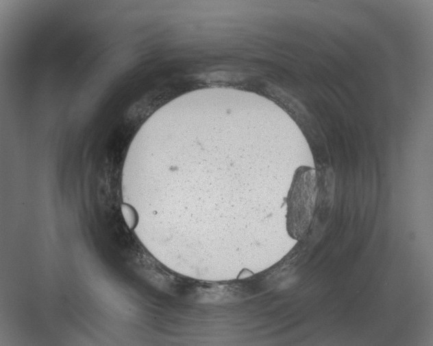 X0000082140430200702162147