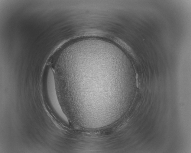 X0000082140436200702162147