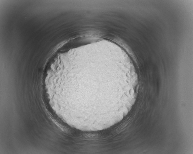 X0000082140437200702162147