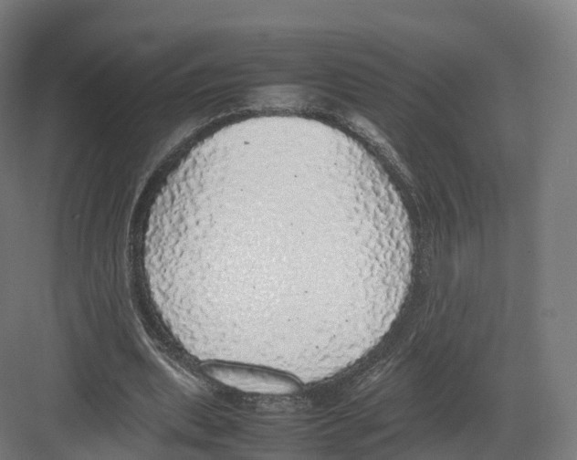 X0000082140439200702162147