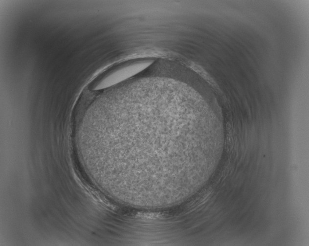 X0000082140440200702162147