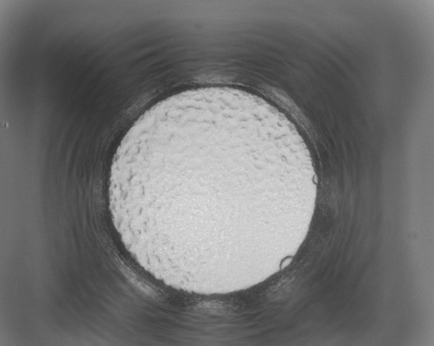 X0000082140441200702162147