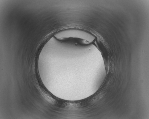 X0000082140442200702162147