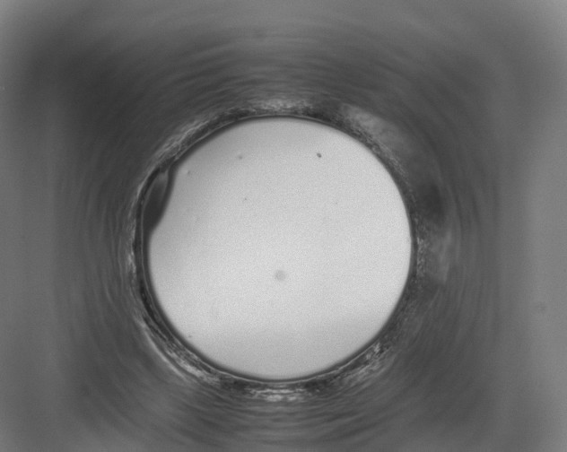 X0000082140443200702162147