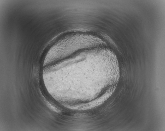 X0000082140444200702162147