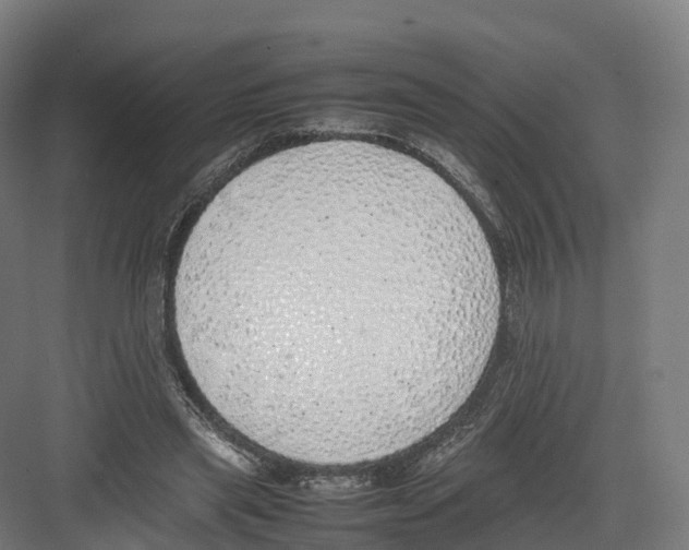 X0000082140445200702162147