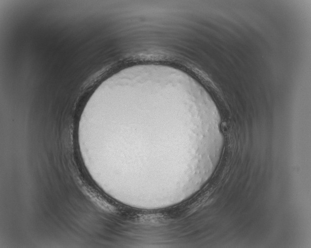 X0000082140446200702162147