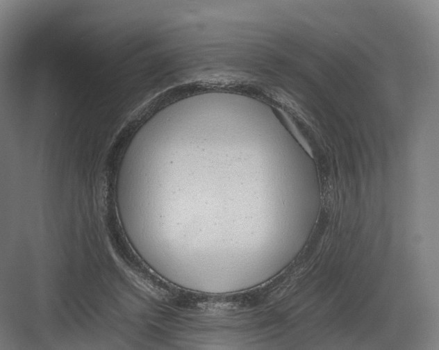 X0000082140448200702162147