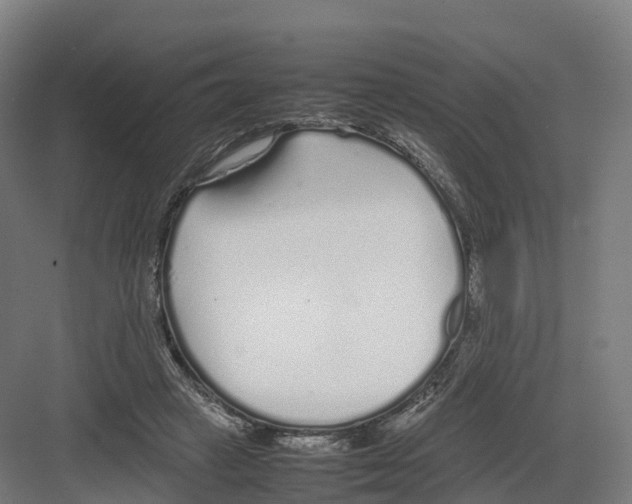 X0000082140449200702162147