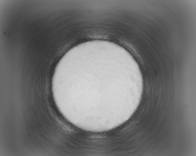 X0000082140453200702162147