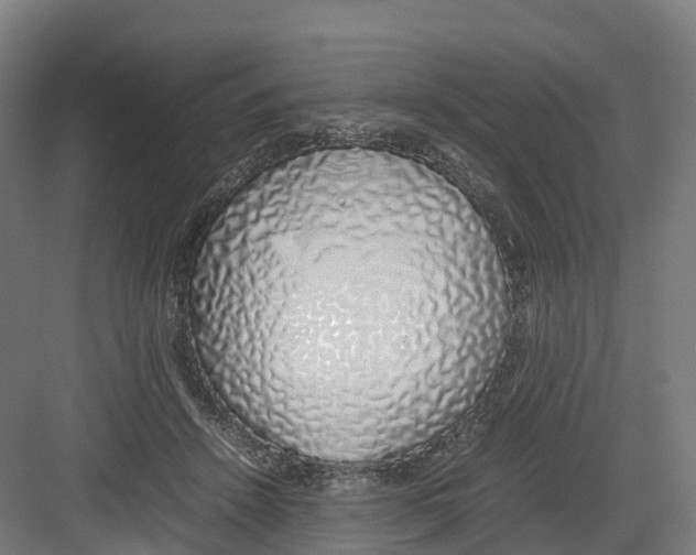 X0000082140456200702162147