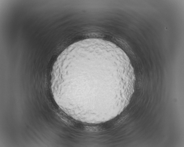 X0000082140457200702162147