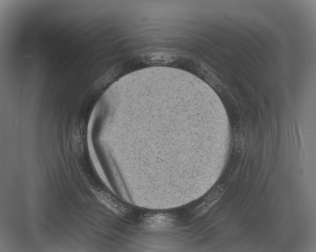 X0000082140460200702162147