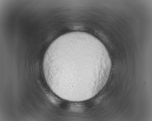 X0000082140461200702162147