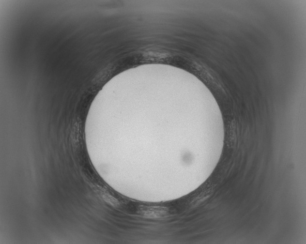 X0000082140463200702162147