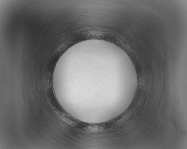 X0000082140464200702162147