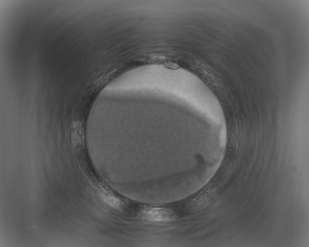 X0000082140467200702162147