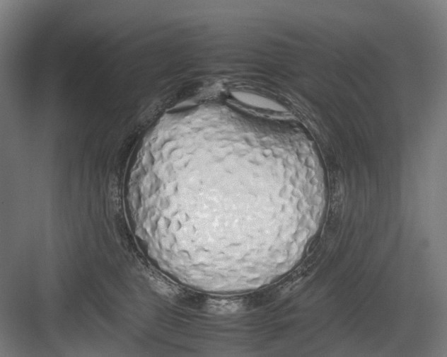 X0000082140469200702162147