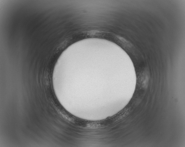 X0000082140470200702162147