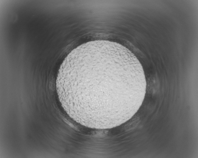 X0000082140474200702162147