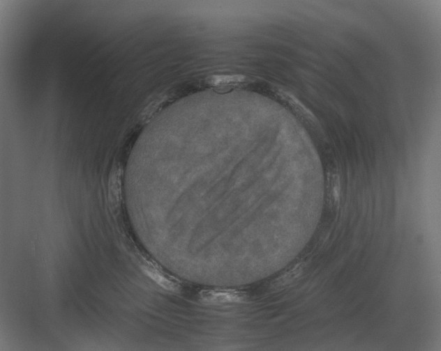 X0000082140475200702162147